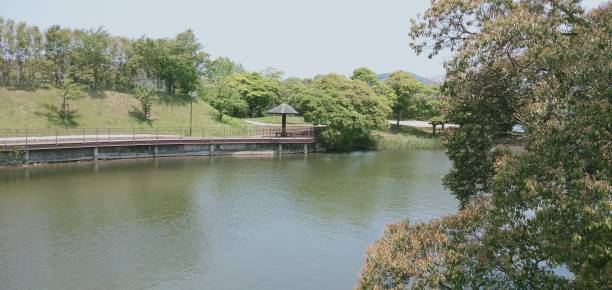 istock Scene of lake and green 1151102751