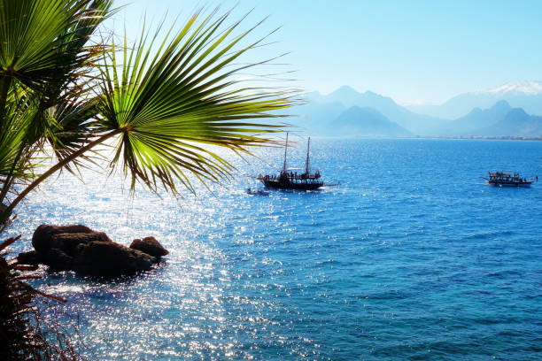 Mediterranean seascape with palm tree and clear blue sea water in Antalya, Turkey