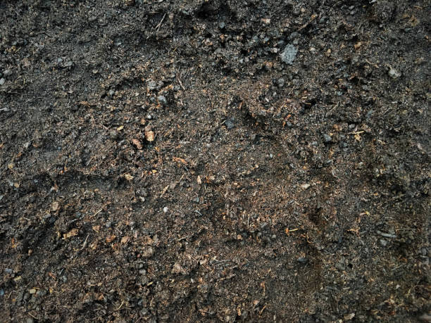 istock Realistic wet soil after raining top view texture background. 1151104565