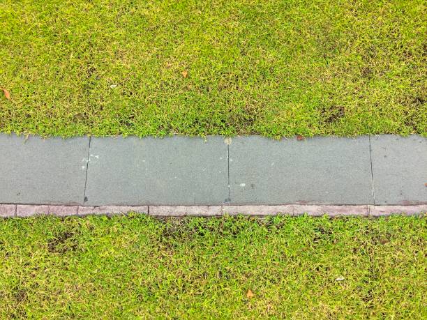 istock Close up brick walkway and green grass 1151104816