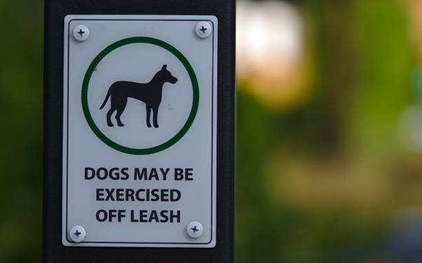 istock Dogs may be exercised off leash sign 1151109559