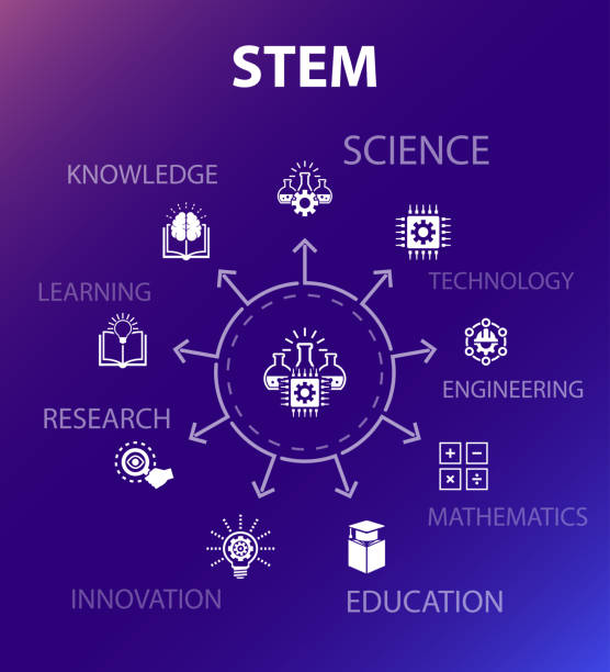 STEM concept template. Modern design style. Contains such icons as science, technology, engineering, mathematics STEM concept template. Modern design style. Contains such icons as science, technology, engineering, mathematics stem topic stock illustrations