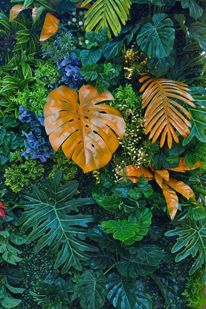 istock summer tropical leaves background decoration wallpaper 1151110599