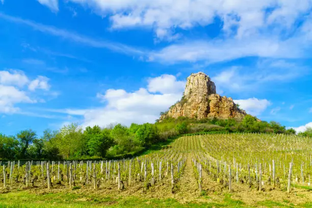 View of the Rock of Solutre (la roche), and vineyards, in Saone-et-Loire department, Burgundy, France