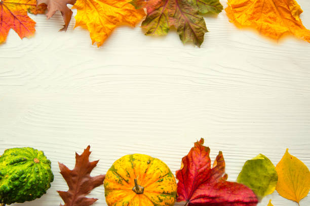 istock Colorful dried leaves and little pumpkins on white table, copy space. 1151112705