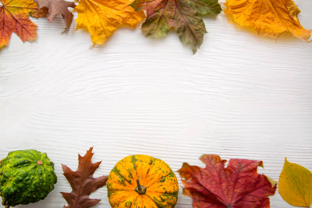 Autumn colorful leaves on white table background. Space for text.