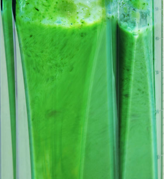 istock Green smoothie. Blending ingredients for green smoothie closeup. 1151114480
