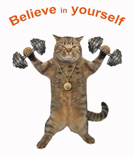 istock Cat athlete lifts dumbbells 1151115557