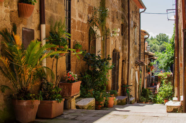 Old street in Pitigliano full of flowerpot Old street in Pitigliano full of flowerpot pitigliano stock pictures, royalty-free photos & images