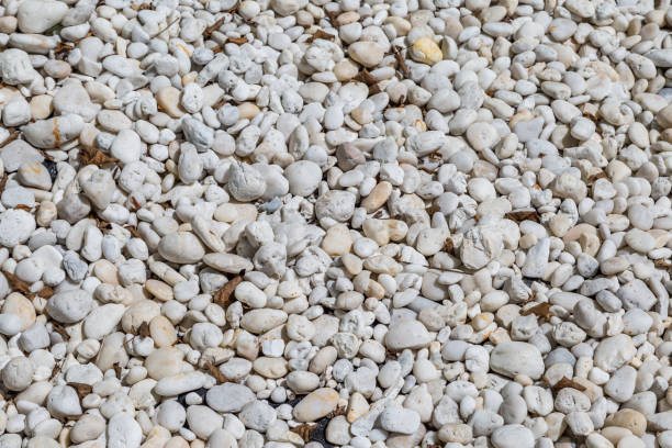 istock natural polished white river rock pebbles 1151116826