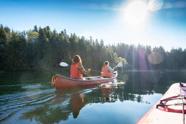 pov, sunlit summer kayaking with women canoeing in wilderness inlet - caiaque imagens e fotografias de stock