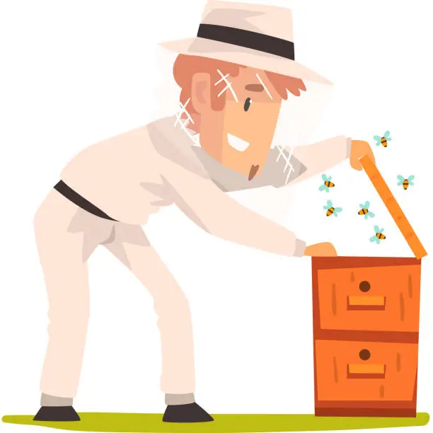 Vector illustration of Beekeeper man hiver harvesting honey, apiculture and beekeeping concept vector Illustration