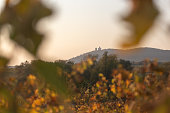 Holy Hill, Mikulov, Palava. Moravian vineyard