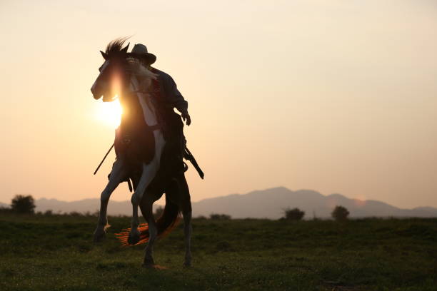 istock Man Riding Horse On Field During Sunset 1151125001