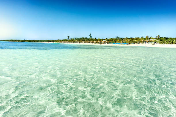 istock Tropical beach with turquoise water. Caribbean 1151125190