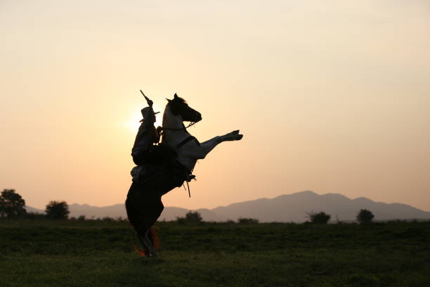 istock Man Riding Horse On Field During Sunset 1151126716