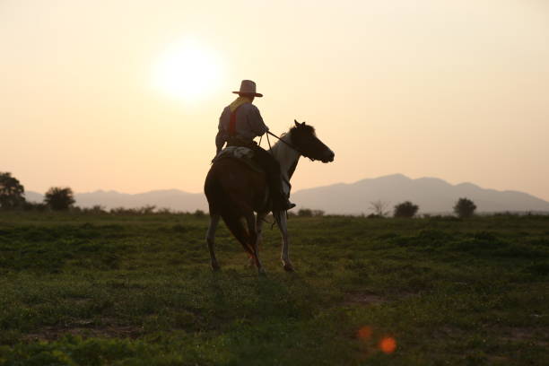 istock Man Riding Horse On Field During Sunset 1151126726