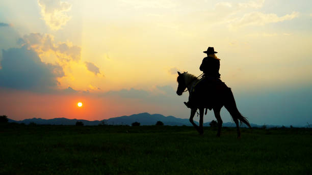istock Silhouette Man Riding Horse During Sunset 1151126740