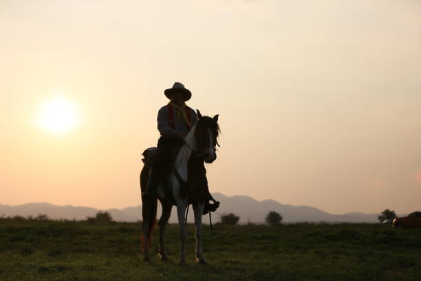 istock Man Riding Horse On Field During Sunset 1151127390