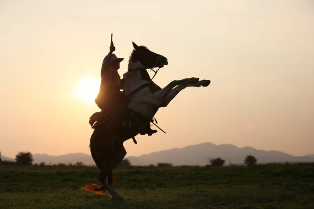 istock Man Riding Horse On Field During Sunset 1151127392
