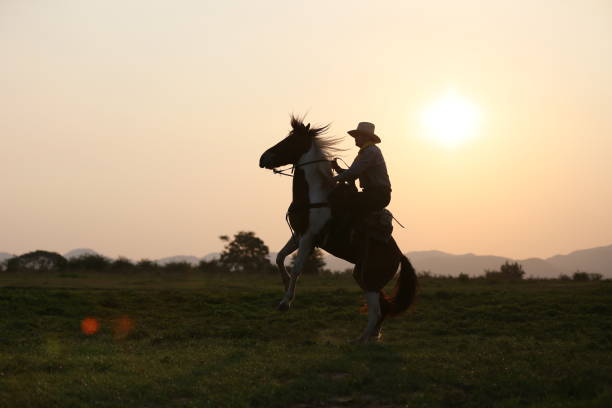 istock Man Riding Horse On Field During Sunset 1151128243