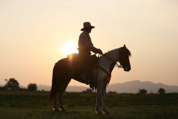istock Man Riding Horse On Field During Sunset 1151128249