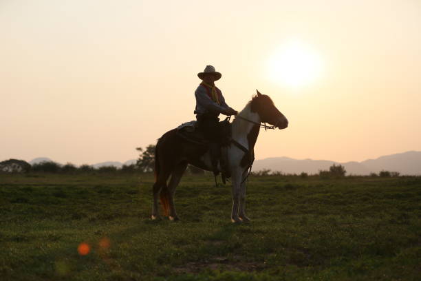 istock Man Riding Horse On Field During Sunset 1151128253