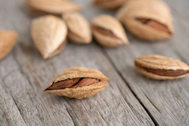 istock Dried almond seeds on wooden table 1151130494