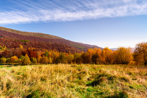 Mountain range in autumn in the rays of the sunset. Wielka Rawka - Bieszczady National Park - Poland