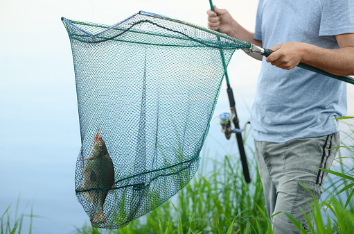 The caught bream (Abramis brama) is in a landing net on a background of a water. The fisherman is standing on a riverbank and holding one fish and fishing rod in his hands in rural.