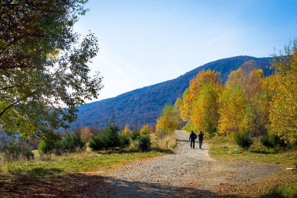 istock Mountain path in autumn in the rays of the sunset. 1151133829