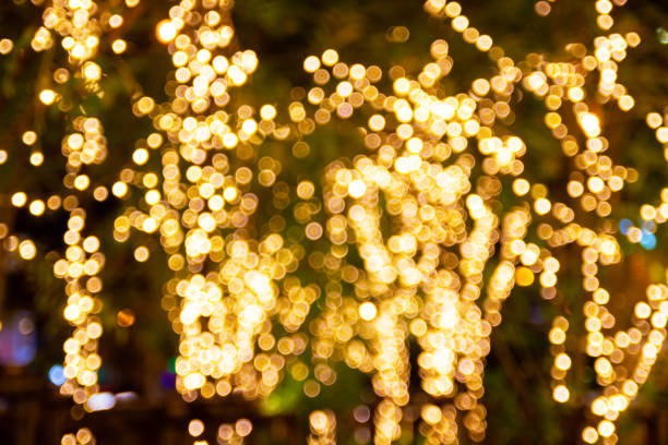 istock Blurred image Decorative outdoor string lights hanging on tree in the garden at night time 1151134609