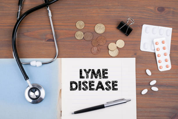 lyme disease lyme disease. Doctor's desk with notebook deer tick arachnid photos stock pictures, royalty-free photos & images