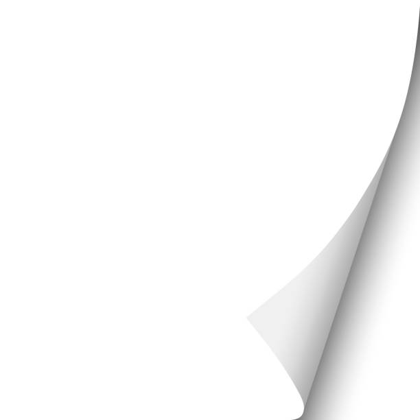 istock Sheet of white paper with curled lower right corner. Vector paper mockup. 1151140321
