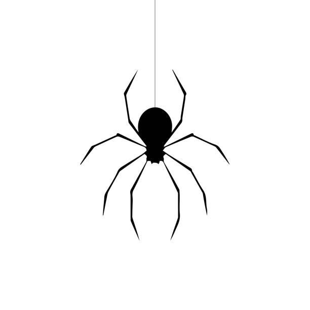 ÐÐµÑÐ°ÑÑ Spider vector isolated spider stock illustrations