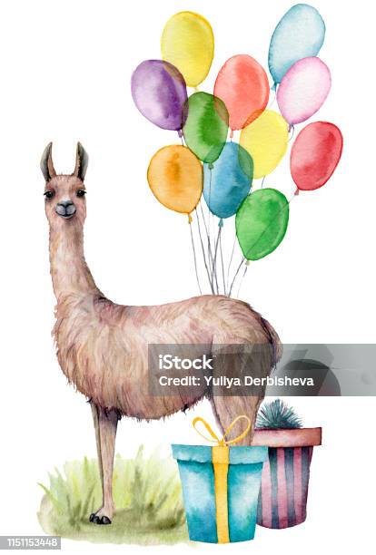 Watercolor Party Lama Card Hand Drawn Illustration With Air Balloons Gift Box Grass And Llama Isolated On White Background Holiday Birthday Illustration For Design Print Fabric Or Background Stock Illustration - Download Image Now