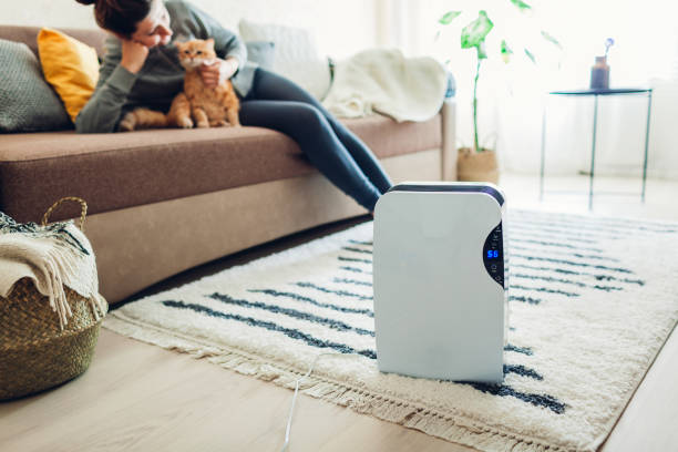 istock Dehumidifier with touch panel, humidity indicator, uv lamp, air ionizer, water container works at home. Air dryer 1151153962