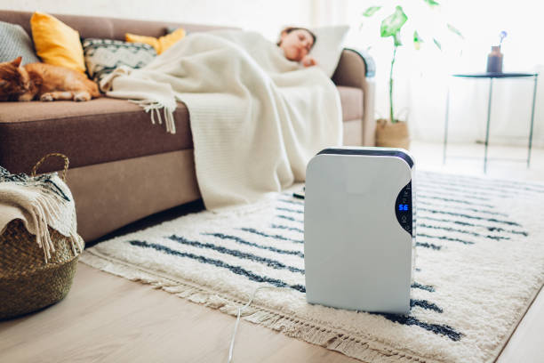 istock Dehumidifier with touch panel, humidity indicator, uv lamp, air ionizer, water container works at home. Air dryer 1151154037