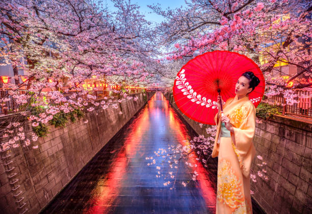 femme avec le kimono devant la fleur de cerise de fleuve de meguro en fleur, tokyo, japon - rivière meguro photos et images de collection