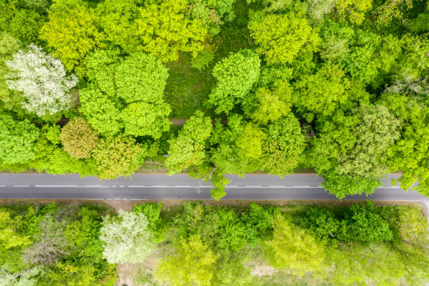 istock Aerial view of long road cutting through forest 1151157215