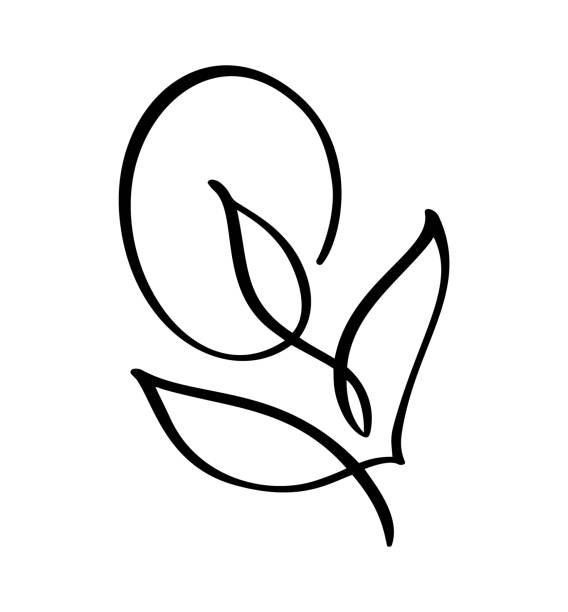 illustrations, cliparts, dessins animés et icônes de silhouette stylisée vectorielle de fleur de printemps avec des feuilles isolées sur fond blanc. signe de l’éco, étiquette de la nature. élément décoratif pour les marques médicales et écologiques - abstract leaf curve posing