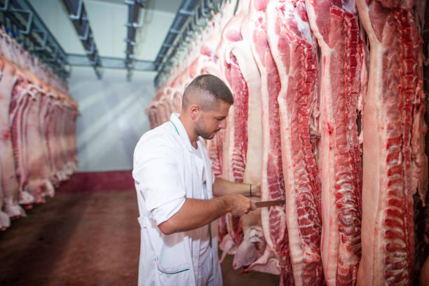 Butcher working on fresh raw meat. Worker cutting pork meat at food processing plant. Worker handling raw meat at butchery shop. meat locker photos stock pictures, royalty-free photos & images