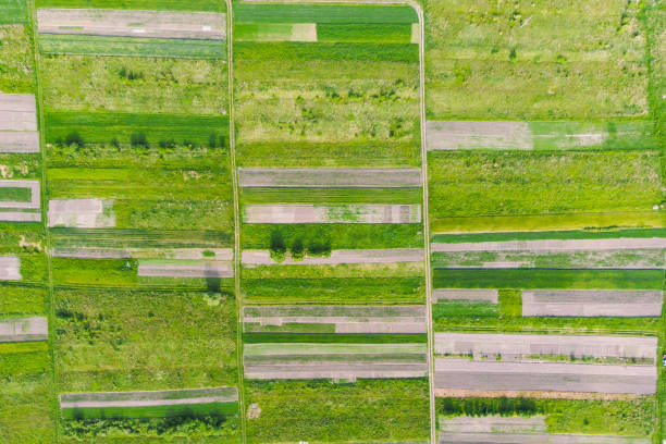 istock aerial view of farming fields 1151160932