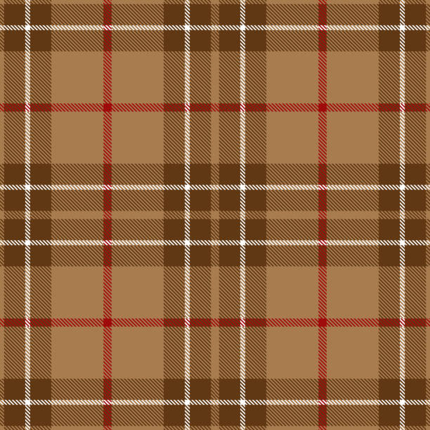 бежевый и красный шотландский тартан плед текстиль шаблон - skirt brown stock illustrations