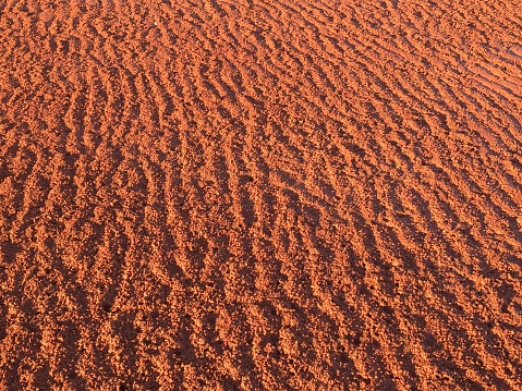 Red pindan sand on the Broome coastline