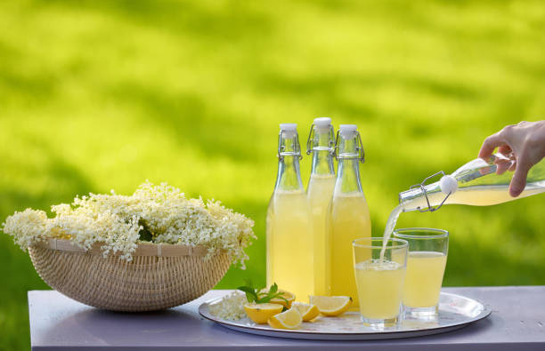 Refreshing springtime elderflower cordial in garden stock photo