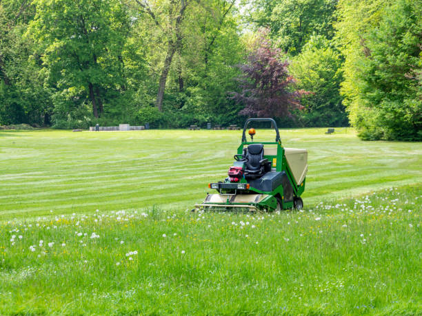 rasentraktor in grüner pflege - lawn mower tractor gardening riding mower stock-fotos und bilder