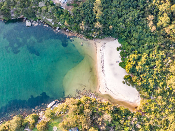 vertikale luft-drohne blick auf collins flat beach, teil des sydney harbour national park. in der nähe des vorortes von manly gelegen, ist collins beach ein beliebter ort zum schwimmen und entspannen. - australia new south wales aerial view landscape stock-fotos und bilder