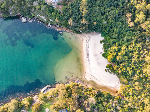 Vertical aerial drone view of Collins Flat Beach, part of Sydney Harbour National Park. Located near the oceanside suburb of Manly, Collins Beach is a popular spot for swimming and relaxing. stock photo
