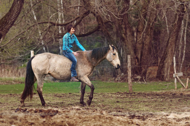 istock Woman riding horse 1151170234